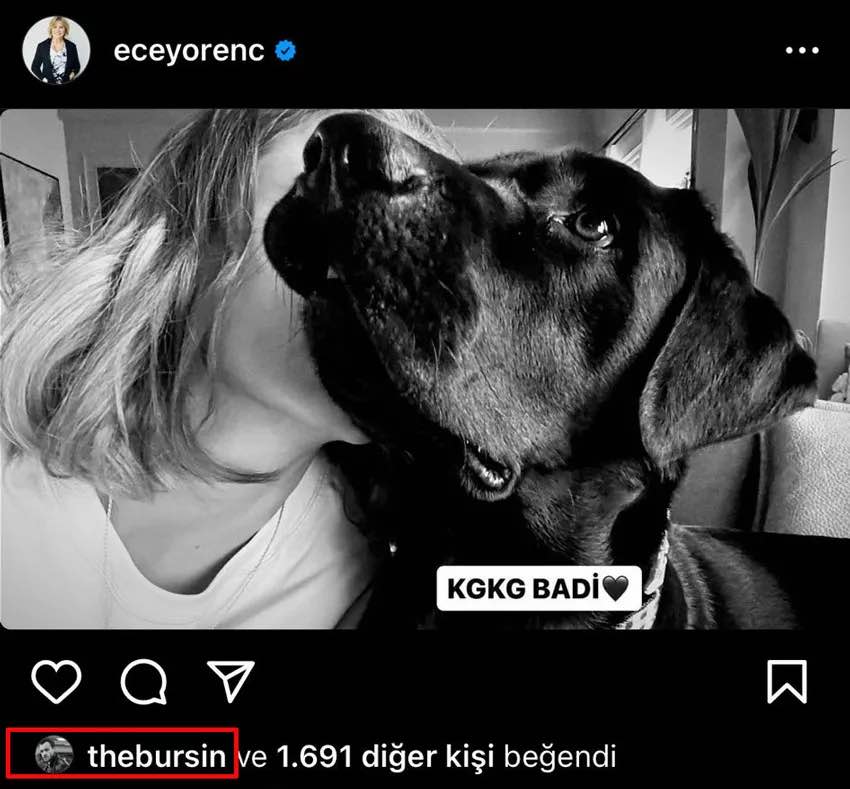 kerem bursin ile serenay sarikaya baristi mi